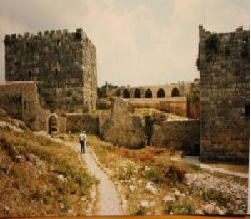 سوريا عبر العصور  الجزء الأول ما قبل التاريخ والتاريخ القديم موقع سوريات P_1295kqcm43