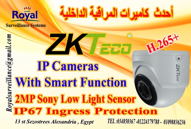 كاميرات مراقبة داخلية  IP Cameras ماركة ZKTECO P_1352ksrvm1