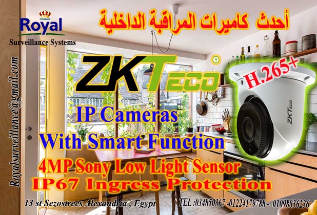 كاميرات مراقبة داخلية بالخصائص الذكية IP Camera ماركة ZKTECO P_13840kcyf1